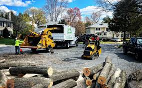 Best Tree Health Inspection  in Rutgers University Busch Campus, NJ